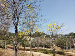 -中国移动南方基地