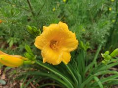 -白水寺森林公园