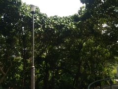 -南丫岛