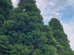 -白塘生态植物园