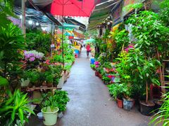 -循礼门鲜花花市(武汉循礼门店)