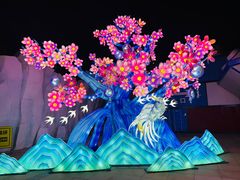 -海合安武汉极地海洋公园