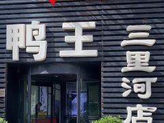 -鸭王烤鸭店(三里河店)