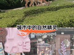 -星海广场