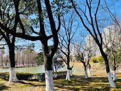-白塘生态植物园