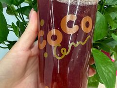 -CoCo都可(北新桥店)