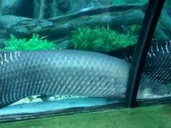 -福州罗源湾海洋世界旅游区