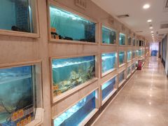 水产区-顺峰(农展馆店)