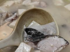 鱼头豆腐汤-聂记粤菜馆(鼓西路店)