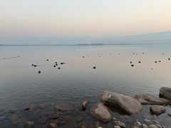 -西昌邛海湿地
