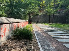 -阳台山自然风景区