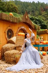 -花漾摄影优选工作室(东莞原创作品店)