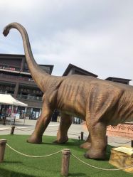 -恐龙探索乐园(磁器口店)