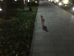 -唐城墙遗址公园
