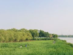 -西青郊野公园