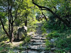 -阳台山自然风景区