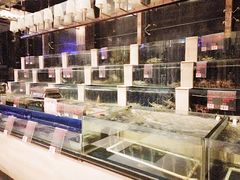 水产区-东方之珠海鲜酒楼(南开店)