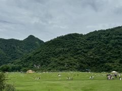 -狮子沟牧场