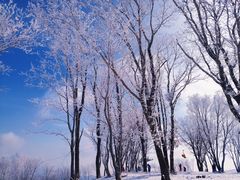 -中旅松花湖滑雪场