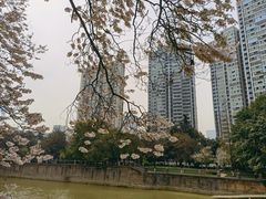 -红星桥(地铁站)