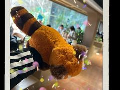 -ZOO COFFEE动物园咖啡(红山森林动物园店)