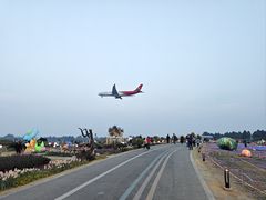 -空港花田景区