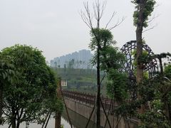 -枫香湖儿童公园