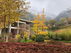 -麦积山温泉
