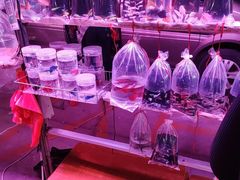 -中环花鸟鱼虫市场