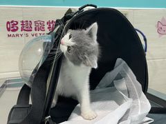 -哆趣宠物医院·眼科·内镜·急重症转诊中心(上海店)