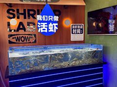 -0048鲜活香辣虾·火锅(铜陵路店)