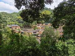 -杨家堂村
