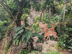 -鹿回头风景区