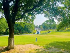 -盘龙城国家考古遗址公园