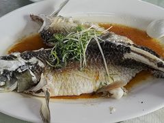 清蒸皖鱼-锦龙美食农庄