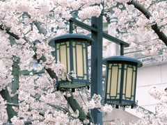 -苏州上方山国家森林公园
