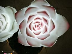 -大佛寺高级素食自助餐厅
