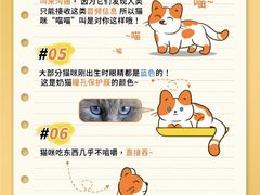 -美联众合动物医院·24h转诊中心