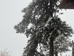 -终南山南五台景区