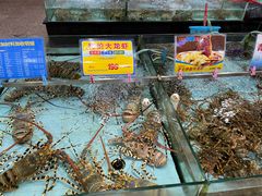 水产区-渔民新村(番禺总店)