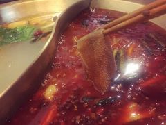 -杨家火锅(国美店)