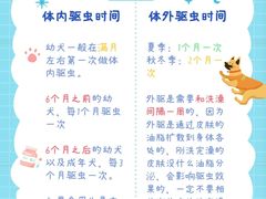 -美联众合动物医院·24h转诊中心