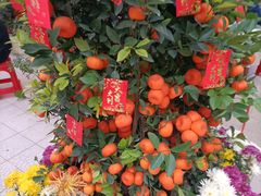 -顺德美食坊(南沙分店)