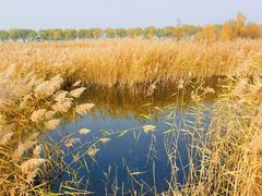 -野鸭湖国家湿地公园