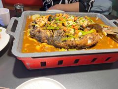 -美蛙四季(黄寺大街店)