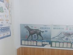 -宠福鑫动物医院(望京分院)