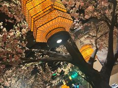 -绿茶餐厅(昌平悦荟店)