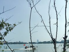 -金鸡湖桃花岛