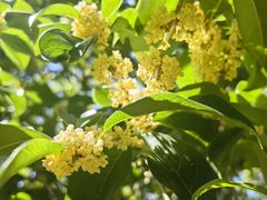 -长沙市青少年宫