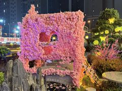 -侠舍·江湖烤全羊·大排档(沌口总店)